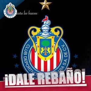 Meet your Posher, Ricardo